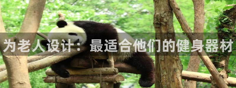 k1体育官方正版app集团E.ON:为老人设计:最适合他们的